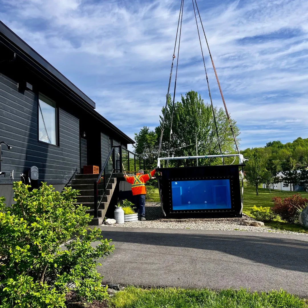 Image de la Piscines Conteneur en modèle Romy de la marque poolpod