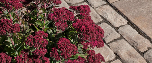 Photo du produit Pavé Vendome 60 par Permacon