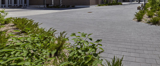 Photo du produit Pavé Agora par Permacon