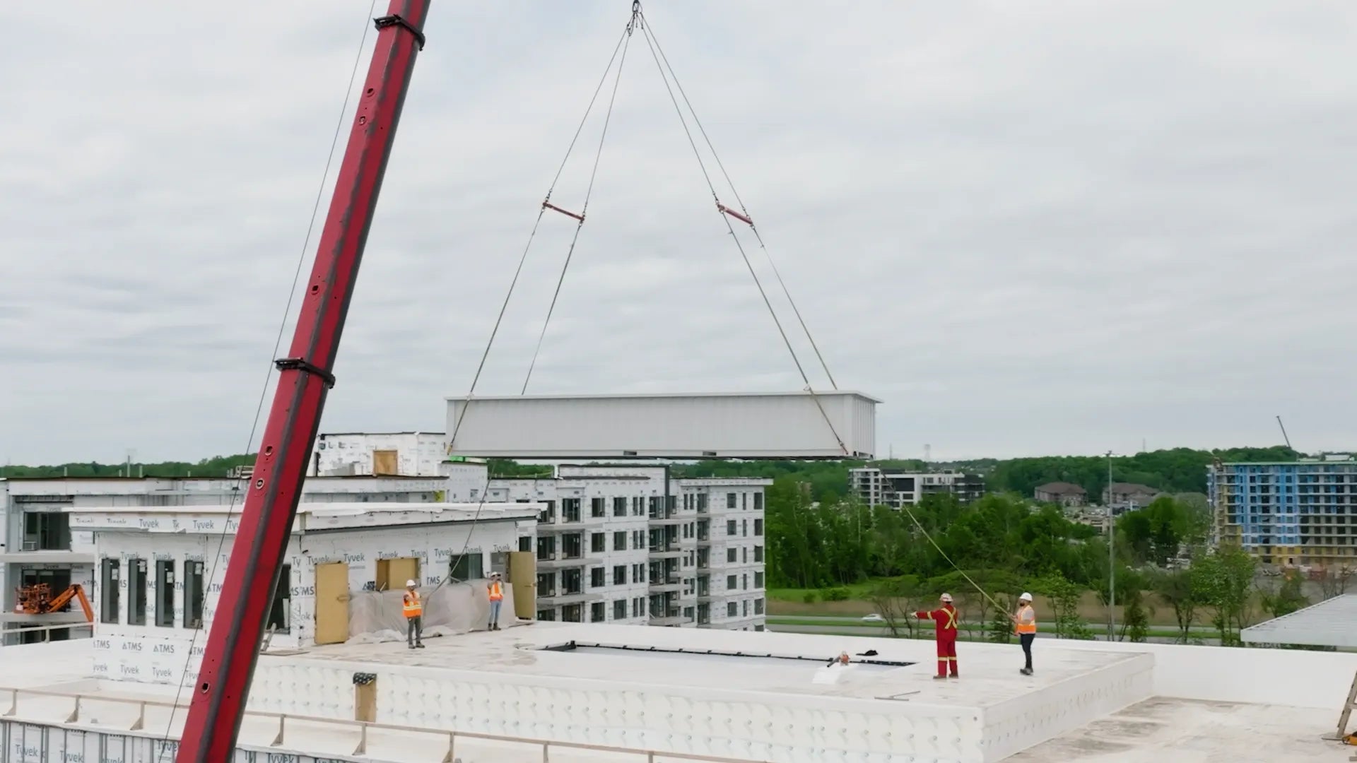 Image de la Piscines Conteneur en modèle Sam de la marque poolpod